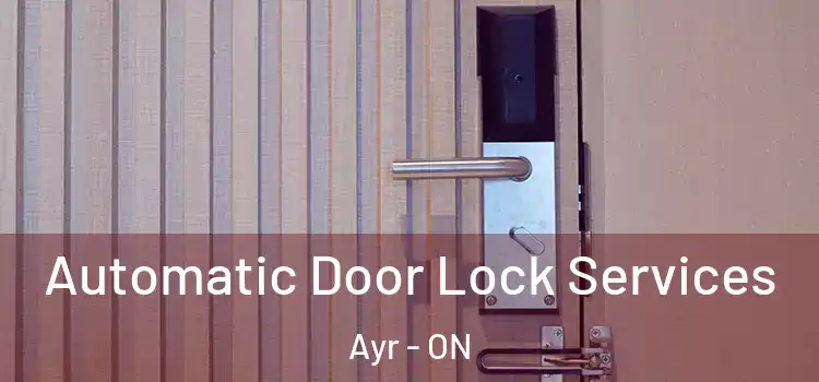 Automatic Door Lock Services Ayr - ON