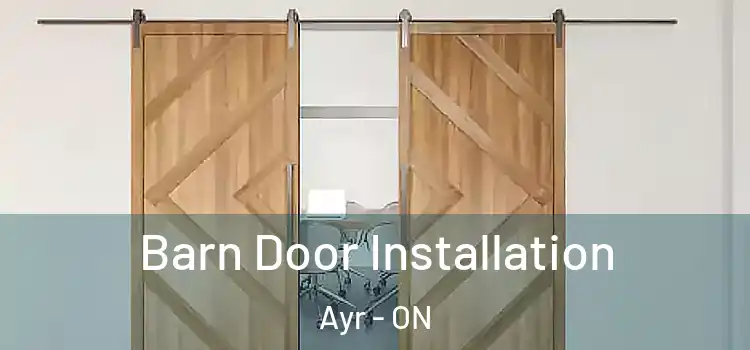 Barn Door Installation Ayr - ON