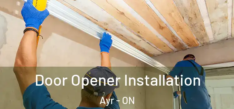 Door Opener Installation Ayr - ON