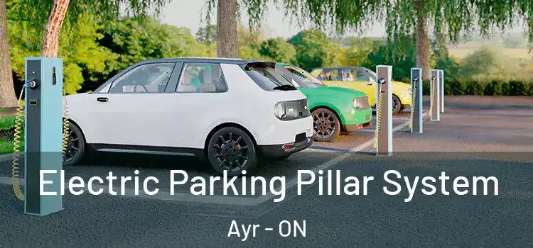 Electric Parking Pillar System Ayr - ON