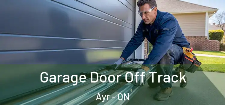 Garage Door Off Track Ayr - ON