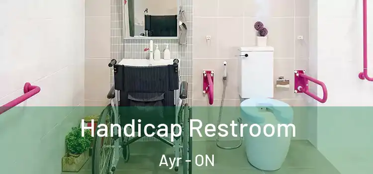 Handicap Restroom Ayr - ON