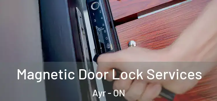 Magnetic Door Lock Services Ayr - ON