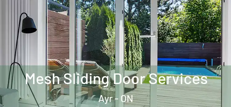 Mesh Sliding Door Services Ayr - ON