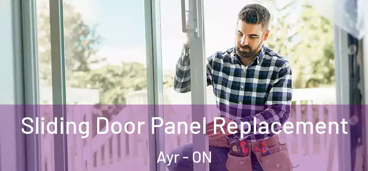  Sliding Door Panel Replacement Ayr - ON