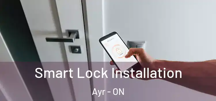 Smart Lock Installation Ayr - ON
