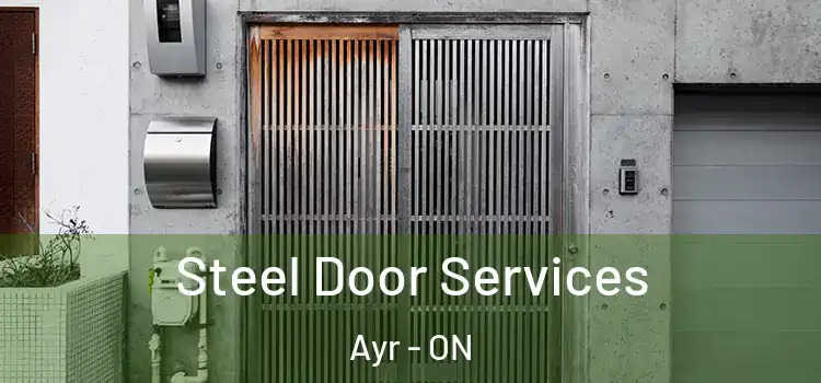  Steel Door Services Ayr - ON